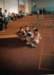 normal_picture_145_small.jpg