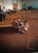 picture_145_small.jpg