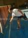 dsc04512_small.jpg