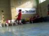 img_3277_small.jpg