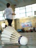Shuttlecock